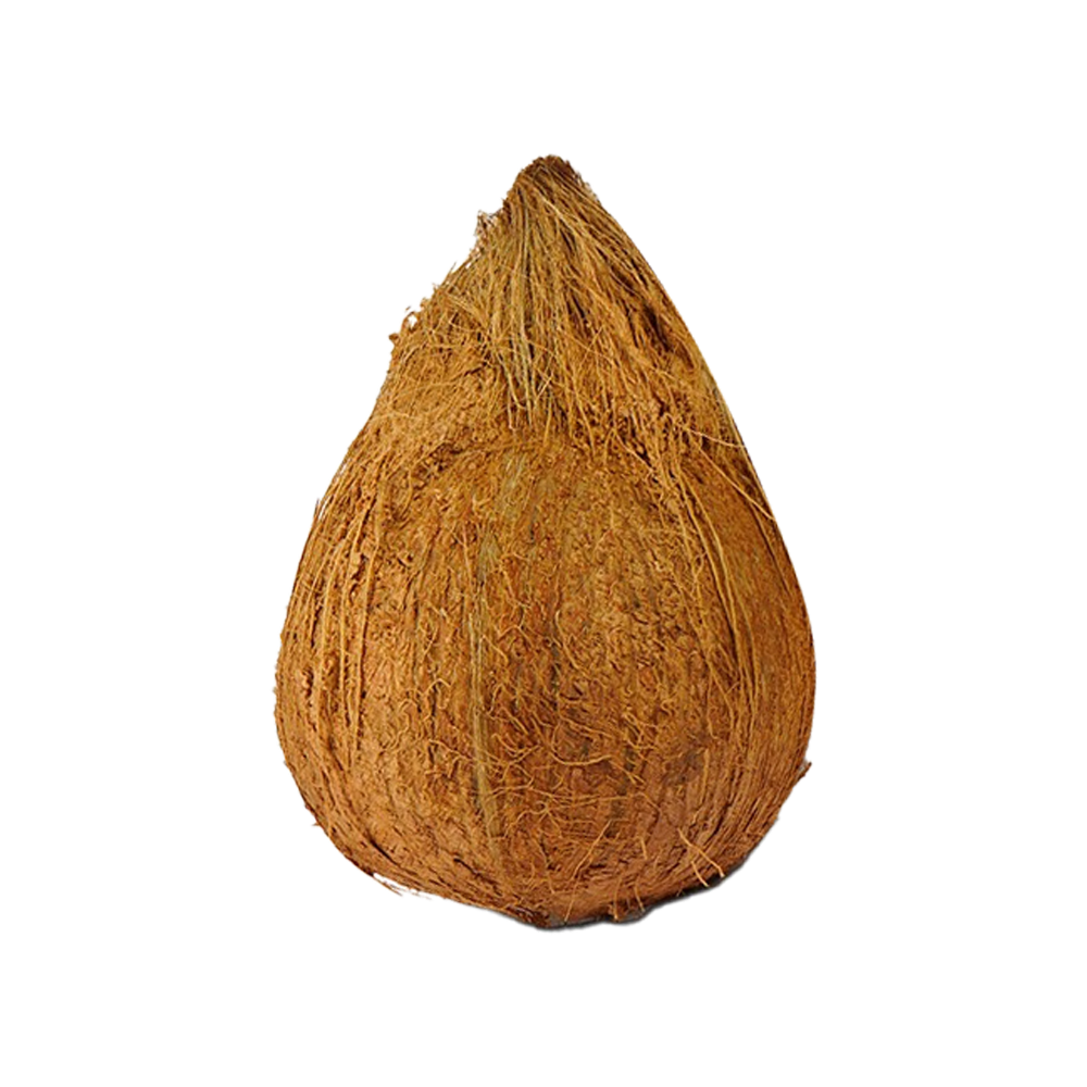 Brown coconut ,1pc