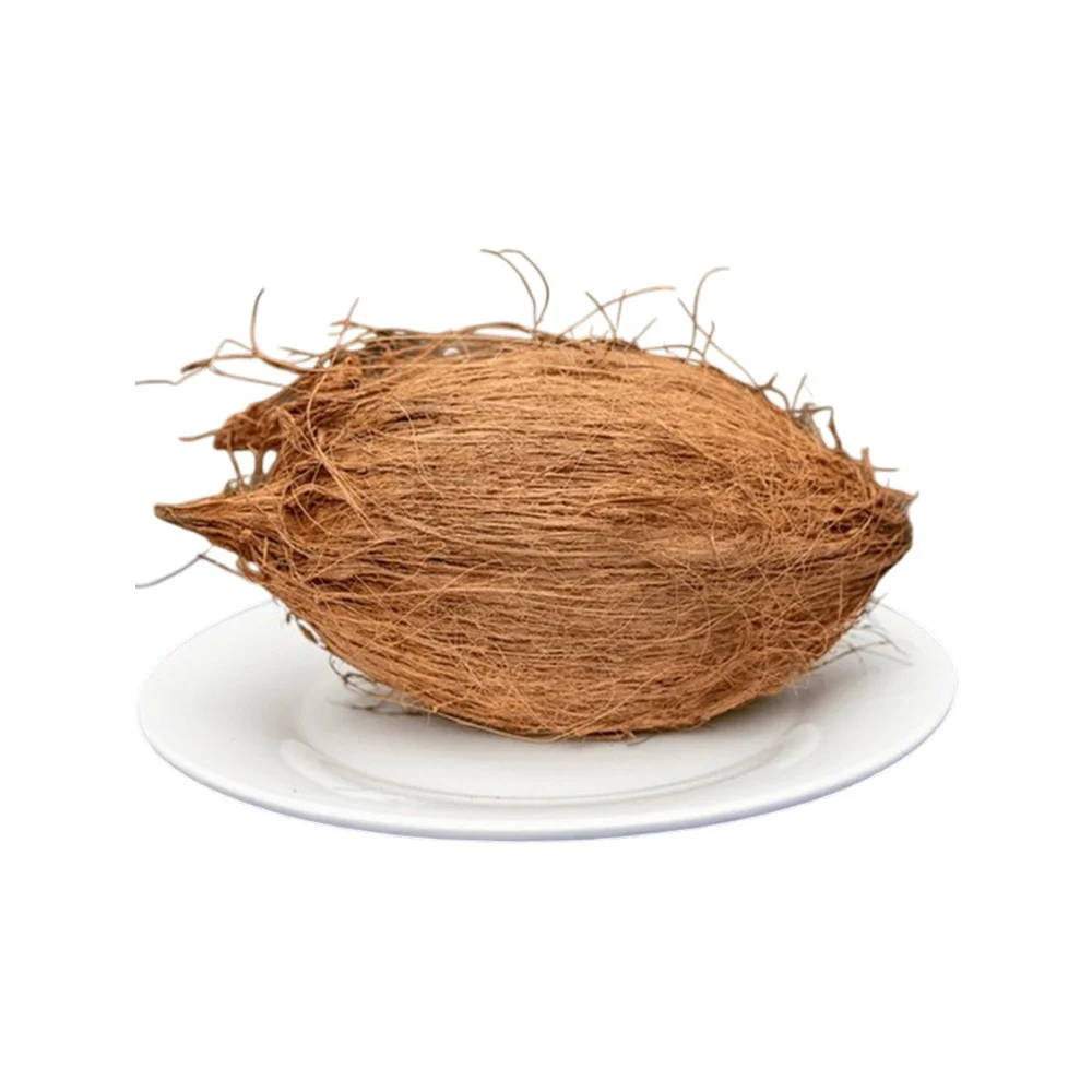 Brown coconut ,1pc