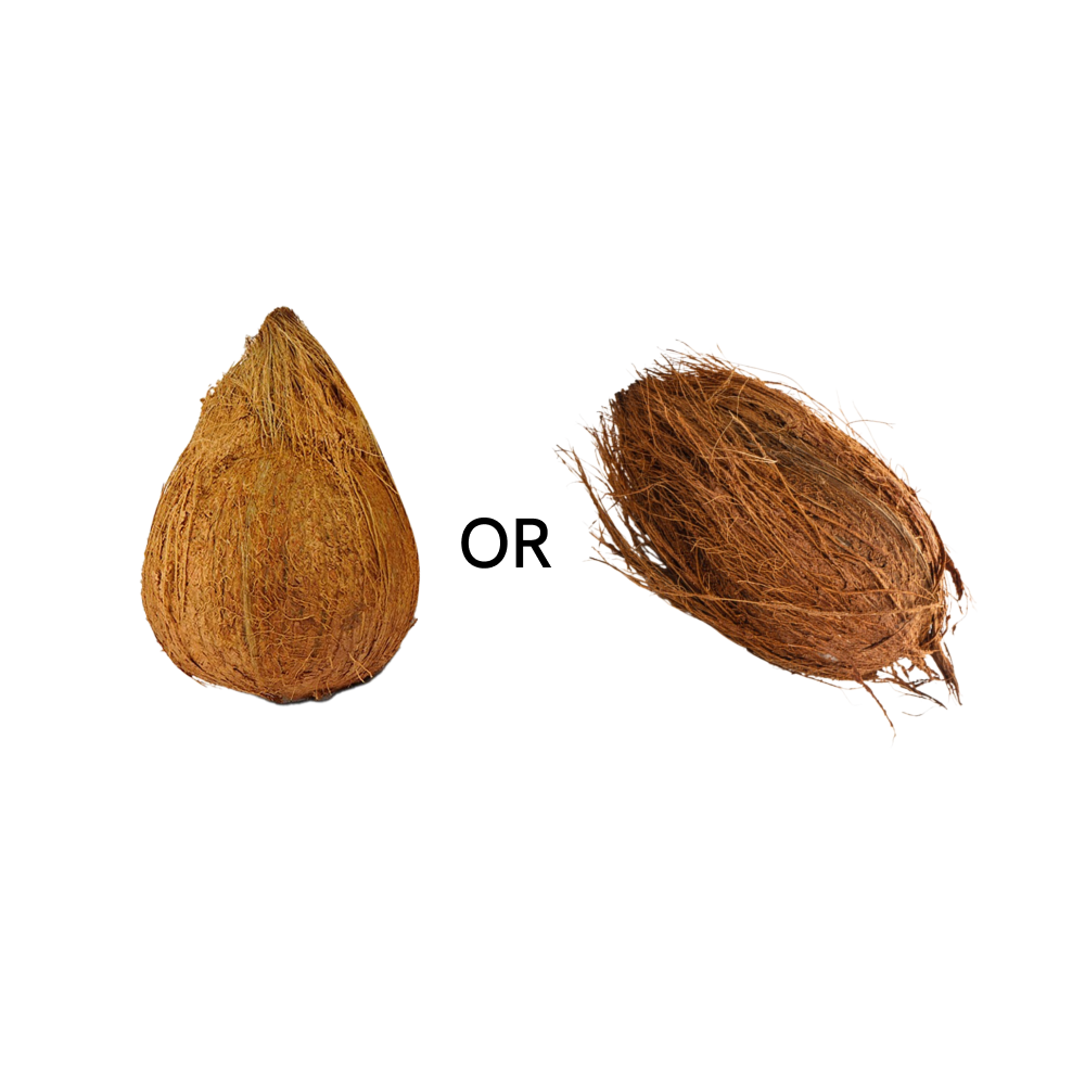 Brown coconut ,1pc