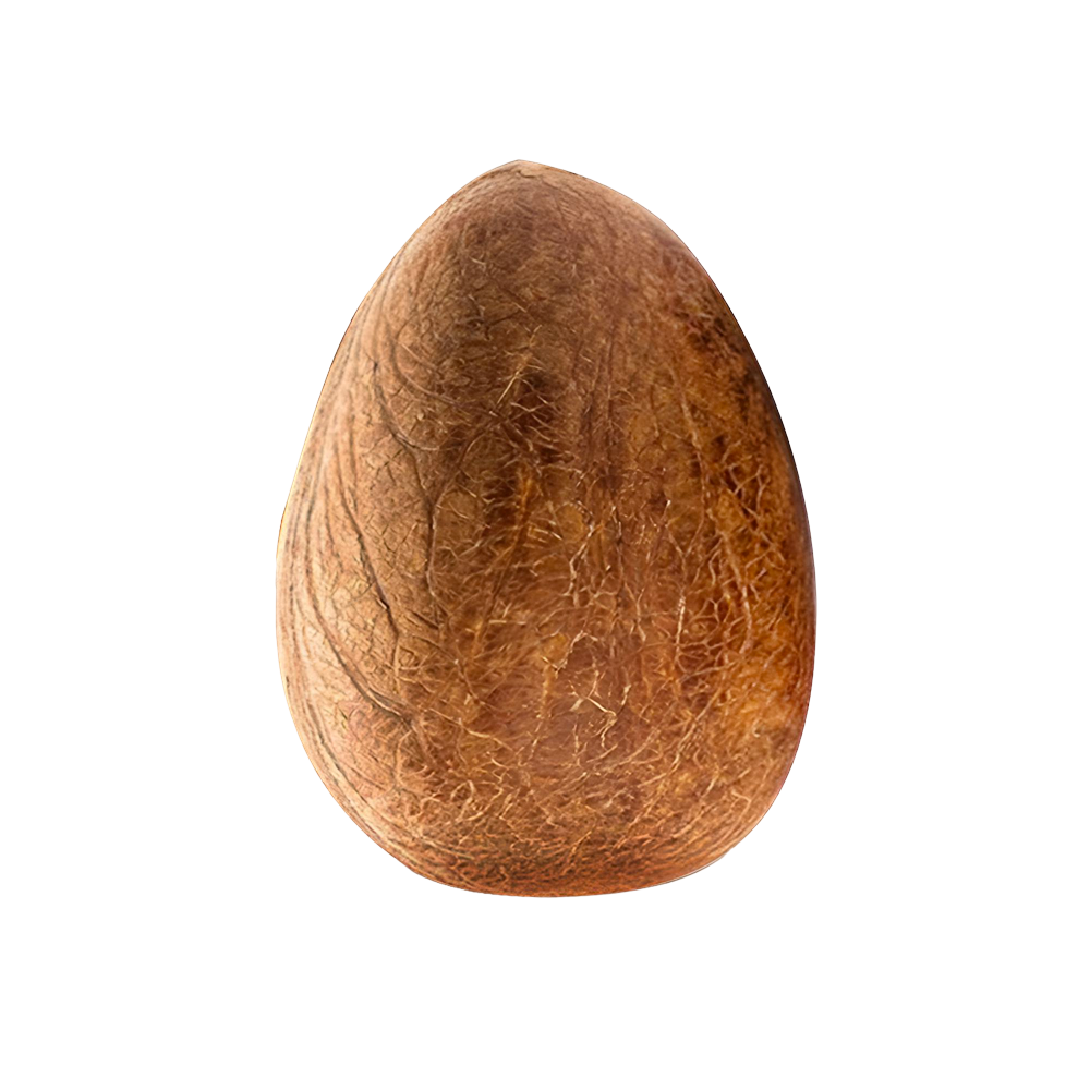 Whole Dried Coconut 