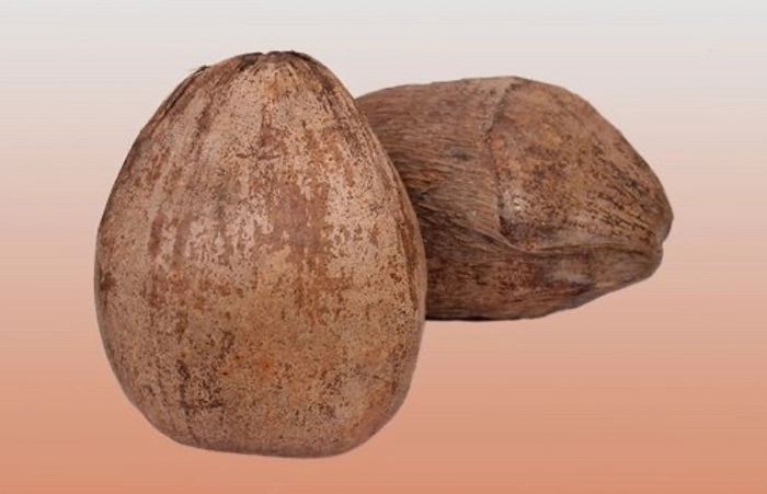  Coconut  With Husk & water (Nariyal Pani) 1pc